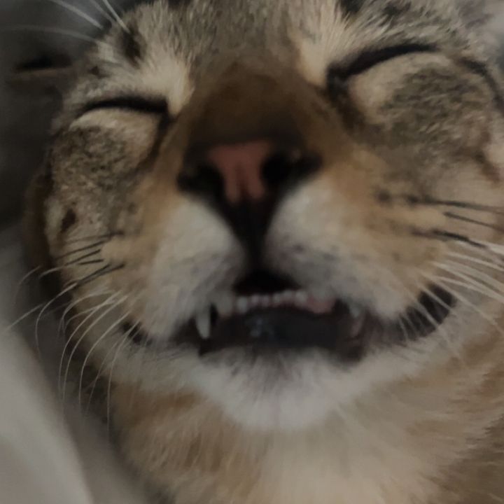Profile Picture of JeffCR (@jeffwastak3n) on Tiktok