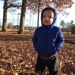 David Tanis - Instagram Profile Picture of David Tanis (@tanis.david) on Instagram