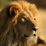 Profile Picture of Christina Bittermann (@chrisi.bi) on Instagram