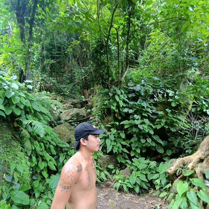 Profile Picture of Michael Manalili (@michael.manalili24) on Tiktok