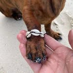 Profile Picture of Carina Matos (@Carina-Matos) on Facebook