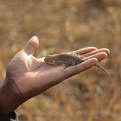 Profile Picture of Luke Miconi (@notoriousblp) on Youtube