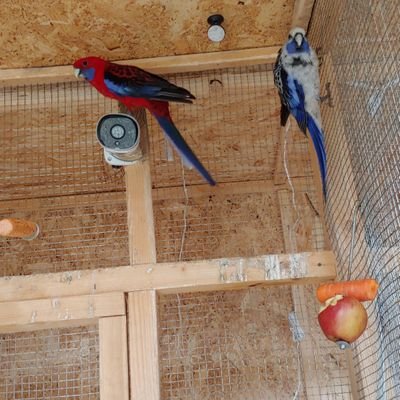 Profile Picture of Brian Dakin (@dakin_brian) on Twitter