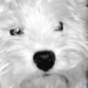 Robert Ernst - Twitter Profile Picture of Robert Ernst (@RobEjr) on Twitter