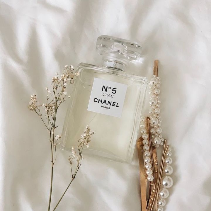 Profile Picture of Michelle Forth (@michelle_.hi._) on Tiktok