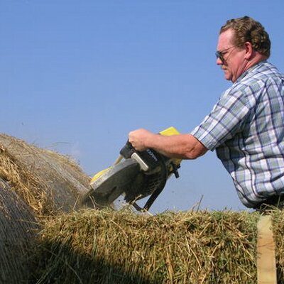 Profile Picture of James H. Jarman (@BugGuyJim) on Twitter