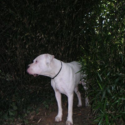 Profile Picture of PREVOST (@Prevost76Eric) on Twitter