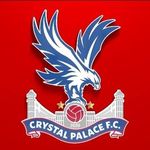 Profile Picture of Crystal Palace Nina Rodrigues (@crystal_palace_fc_nina) on Instagram