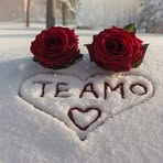 Profile Picture of Luz Martinez (@luz.martinez.503328) on Facebook