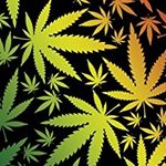 Profile Picture of Bradley Snelling (@potheaddream) on Instagram