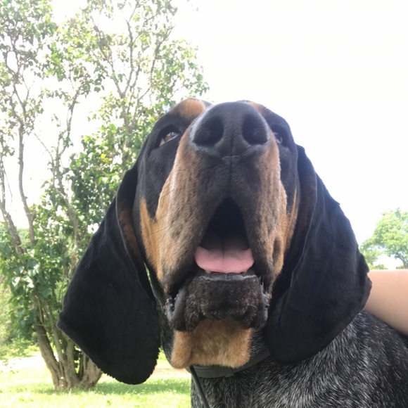 Profile Picture of Katelyn Barber (@katelynbarbe623) on Poshmark