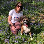 Profile Picture of Kathy King (@kat03king) on Instagram