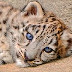 Profile Picture of Stephanie Claus (@stephanie_claus_) on Instagram