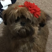 Profile Picture of Kara Hobbs (@karahobbs5490) on Youtube