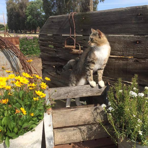 Profile Picture of Jason-diana Jacobus (@thepackratis) on Poshmark