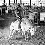 Profile Picture of Bradley (@bradleyalandyess) on Instagram