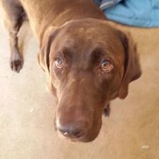 Profile Picture of Chris Martinez (@chris_teh_pher_) on Twitter