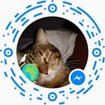 Profile Picture of Cindy Shaylor (@cindy.shaylor.9) on Facebook