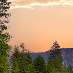 Profile Picture of Dave Dunlap (@dunlapdave) on Instagram