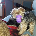 Profile Picture of Eric Rodriguez (@ericbusa) on Instagram