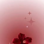 Profile Picture of Classic Carol (@Classic-Carol) on Facebook