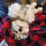 Profile Picture of Joe Broadaway (@broadawayjoe) on Instagram