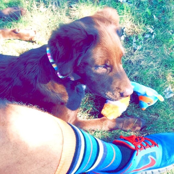 Profile Picture of Ike Toribio (@highimike) on Poshmark