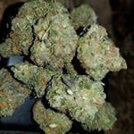 Profile Picture of Davidgalaway123 (@davidgalaway123) on Instagram