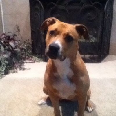 Eric - Twitter Profile Picture of Eric (@widman350) on Twitter