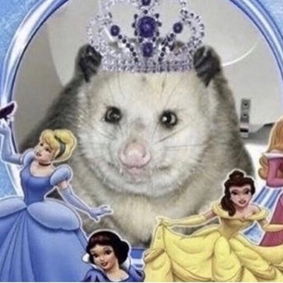 Profile Picture of Andy Fejklowicz (@AndyFejklowicz) on Twitter