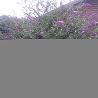 Profile Picture of Janet Rendon (@janet-rendon-3) on Quora