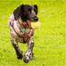 Profile Picture of Gary Rutter (@gary.rutter.7524) on Facebook