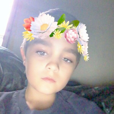 Profile Picture of Thomas Jankowski (@tj_puppies) on Twitter