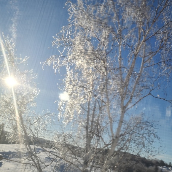 Profile Picture of Markie Farnham (@markie_farnham) on Poshmark