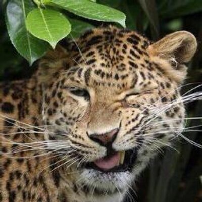 Profile Picture of Daniel Biddlecombe (@Biddle127) on Twitter
