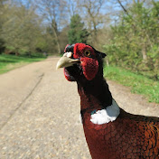 Profile Picture of Bryan Sharpe (@BryanJSharpe) on Youtube