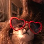 Profile Picture of Robin Dibble (@dr._.dibbs) on Instagram