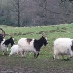 Profile Picture of Steve Wheeler (@steve.wheeler.01) on Instagram