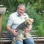 Profile Picture of Joe Maley (@joemaley48) on Instagram