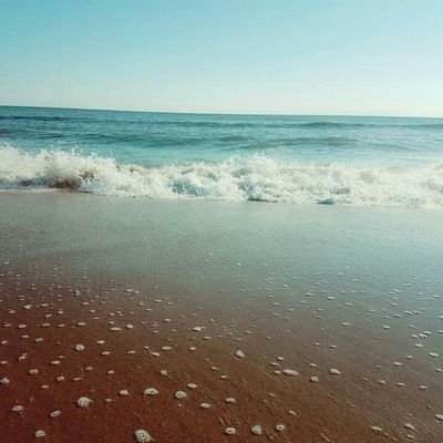 Profile Picture of Michelle Dunham (@shelld1031) on Twitter