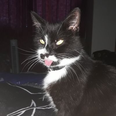 Rachael Lancaster - Twitter Profile Picture of Rachael Lancaster (@cityripper) on Twitter