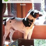 Profile Picture of Jeff Legge Bolter (@jeffbolter1) on Instagram