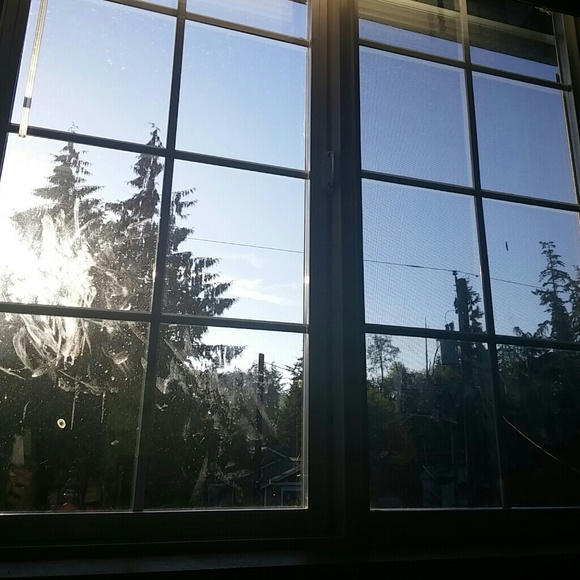 Profile Picture of Franciska Horvath (@sheldonframkie) on Poshmark