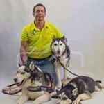 Profile Picture of Héctor A. Collazo (@h.collazo_263) on Instagram