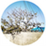 Profile Picture of Minju Kim (@unacameralibera) on Flickr