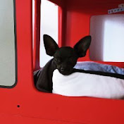 Profile Picture of Michael Wendland (@michaelwendland2718) on Youtube