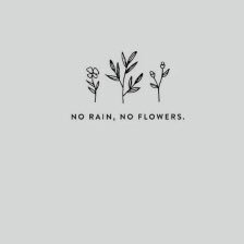 Profile Picture of Julia Pedroza (@JuliaPe30188513) on Twitter