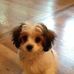 Profile Picture of Justin Zinchini (@justin.zinchini.73) on Facebook