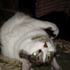 Profile Picture of HoverLover317 (@Malcolm6Tammy) on Twitter