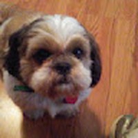 Profile Picture of Lisa Nickles (@lisa-nickles-5) on Quora